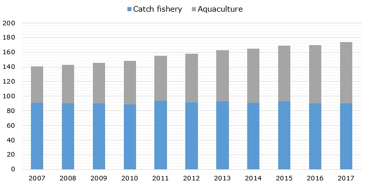 World’s fish production volume during 2007-2017 (in million metric tons)